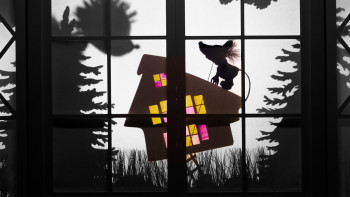 The adventures of the Little Mouse